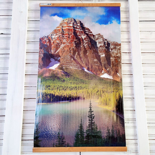 Электрообогреватель инфракрасный настенный Домашний очаг ТеплоМакс 105*60 см (картина - обогреватель)